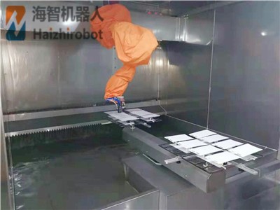 东莞海智塑胶喷漆机器人(图2)