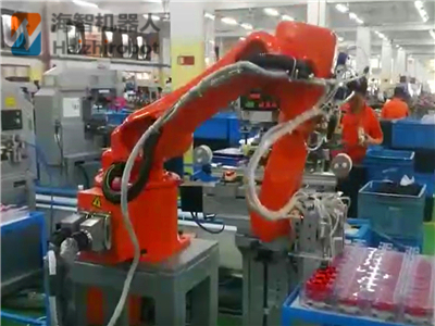 工业机器人抓取上下料配套工作站(图3)